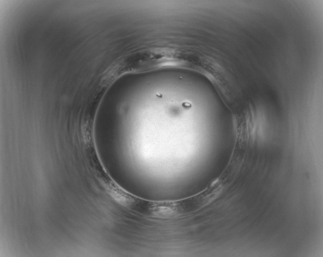 X0000062670285200512211343