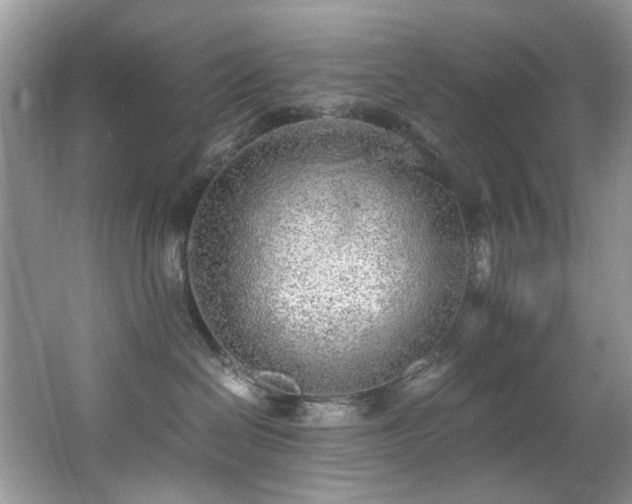 X0000062670286200512211343