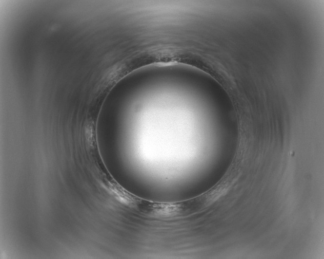 X0000062670288200512211343