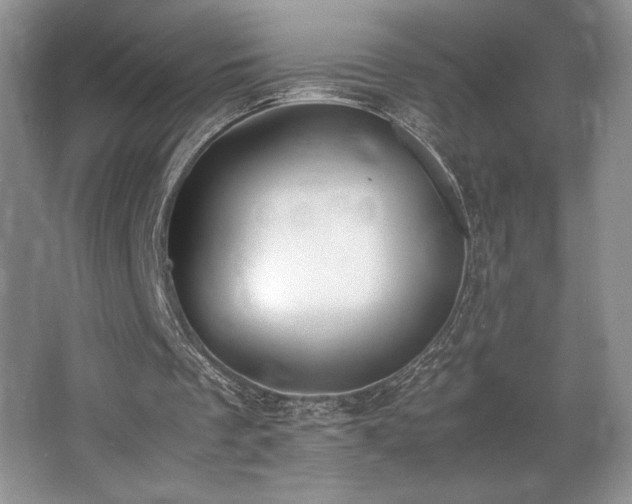 X0000062670289200512211342