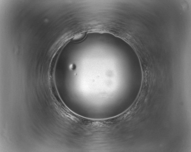 X0000062670290200512211342