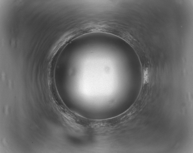 X0000062670291200512211342