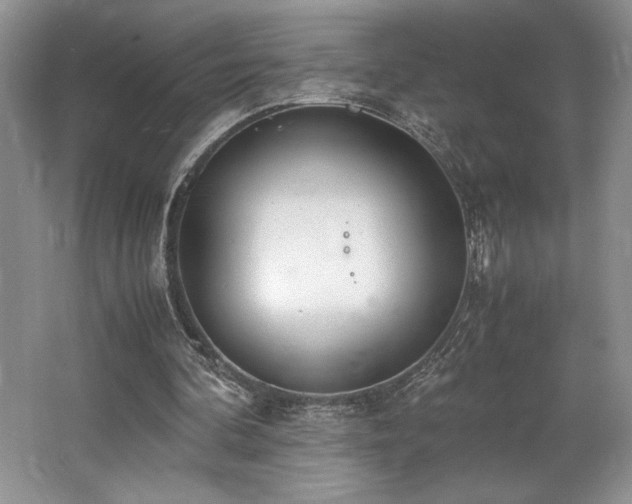 X0000062670292200512211342