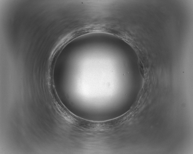 X0000062670293200512211342