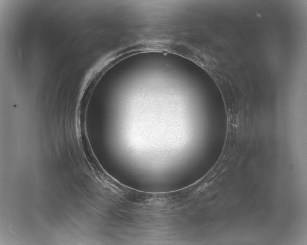 X0000062670294200512211342