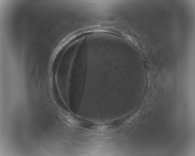 X0000062670295200512211342