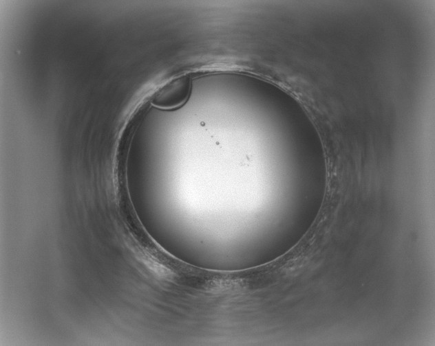 X0000062670296200512211342