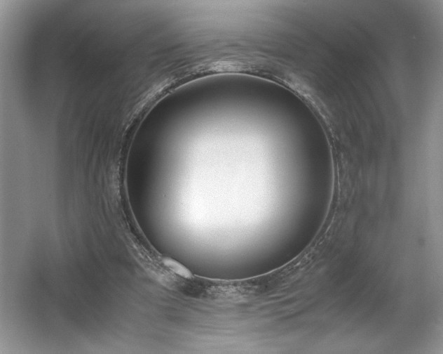 X0000062670297200512211342