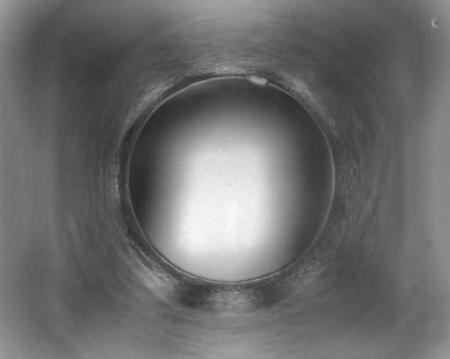 X0000062670299200512211342