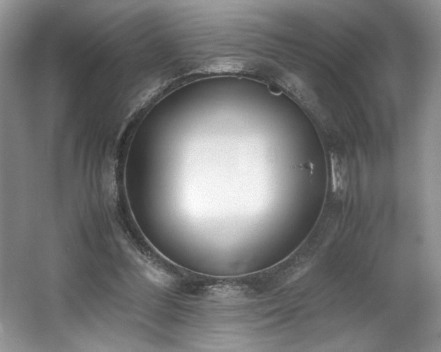 X0000062670300200512211342