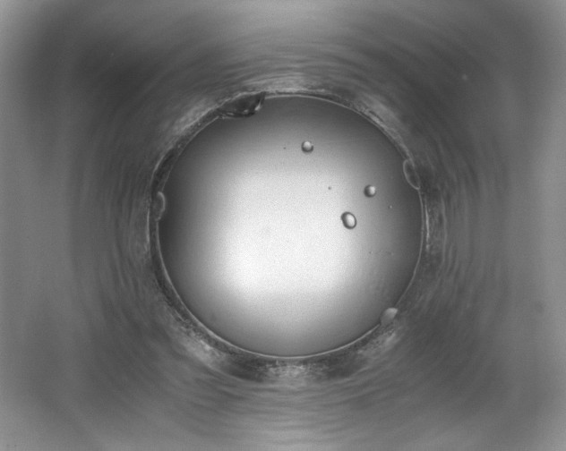 X0000062670301200512211342