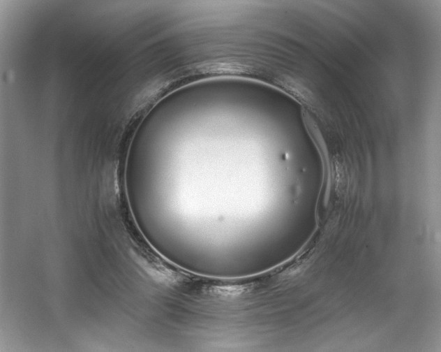 X0000062670302200512211342