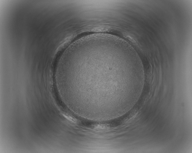 X0000062670303200512211342