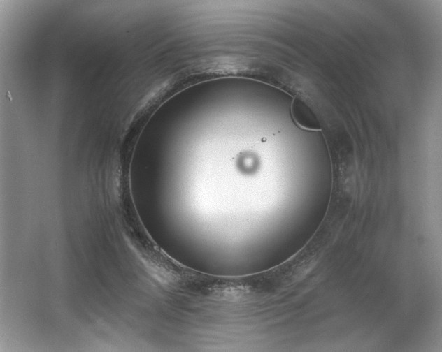 X0000062670304200512211342