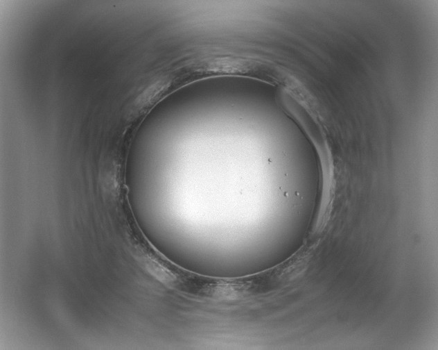 X0000062670305200512211342