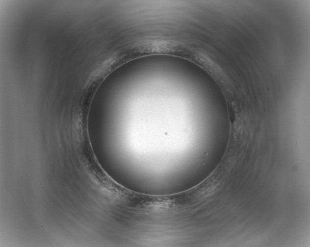 X0000062670306200512211342