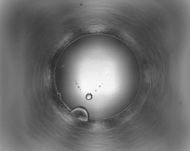 X0000062670308200512211342