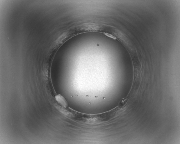 X0000062670309200512211342