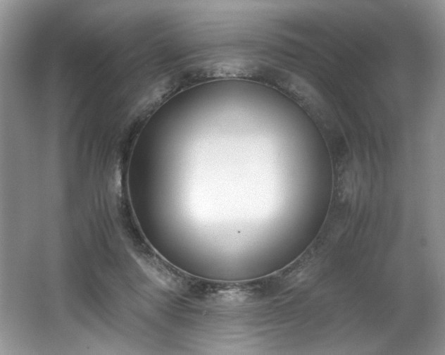 X0000062670310200512211342