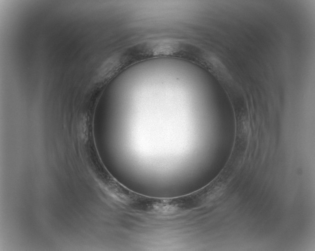 X0000062670311200512211342