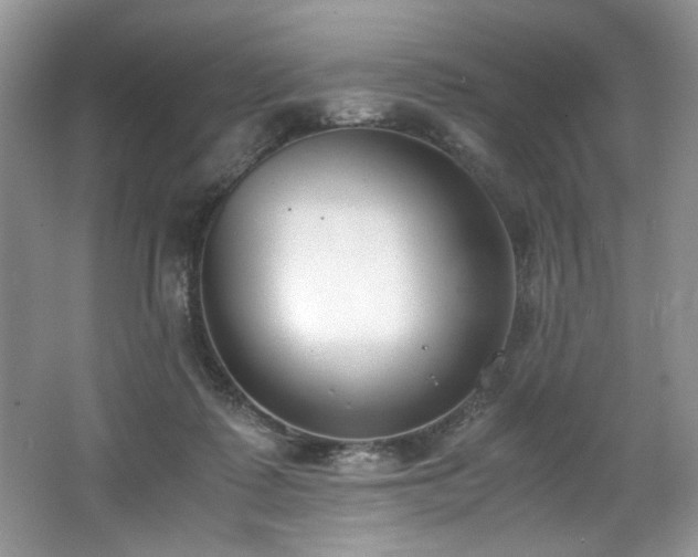 X0000062670315200512211342