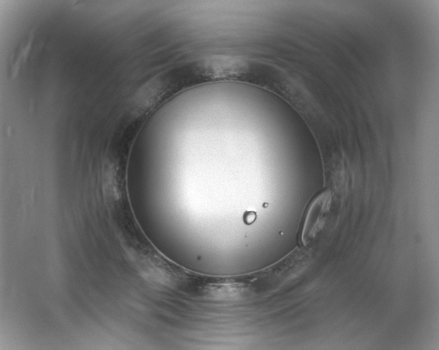 X0000062670316200512211342