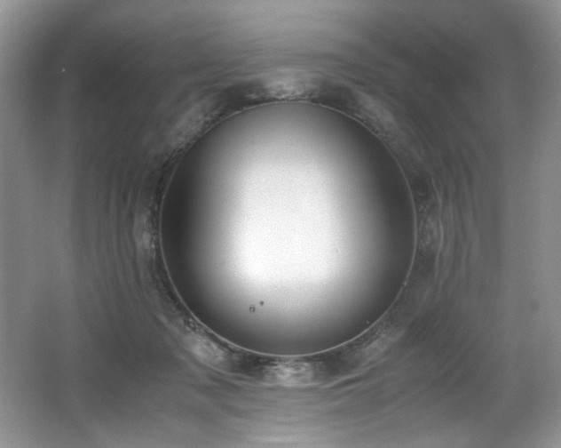 X0000062670317200512211342