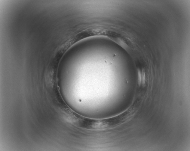 X0000062670319200512211342