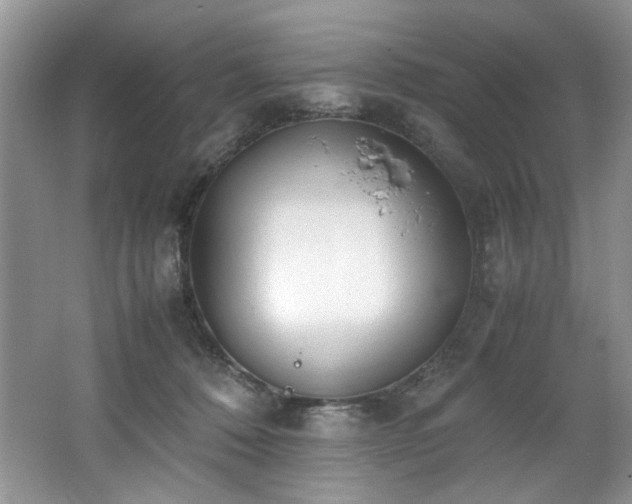 X0000062670320200512211342