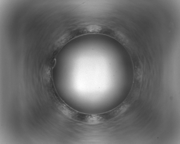 X0000062670321200512211342