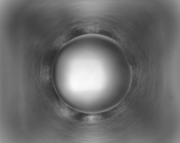 X0000062670323200512211342