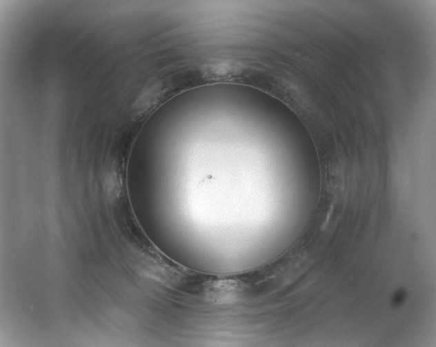 X0000062670324200512211342