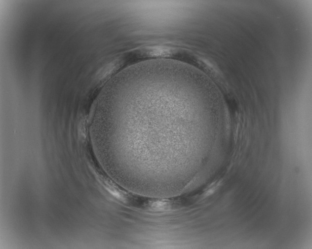 X0000062670325200512211342