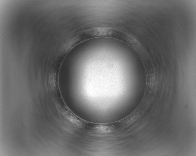 X0000062670326200512211342