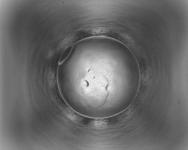 X0000062670327200512211342