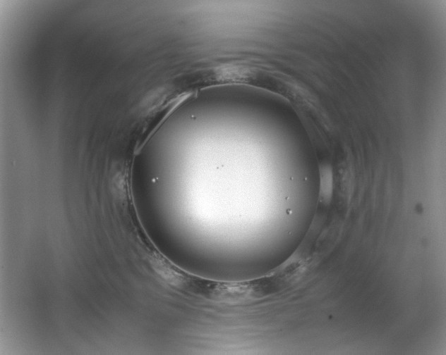 X0000062670329200512211342