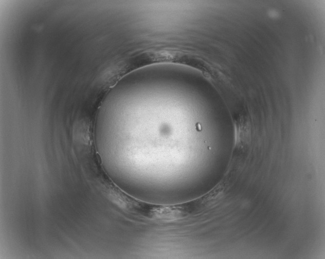 X0000062670331200512211342