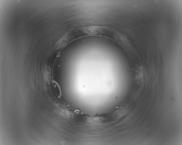 X0000062670332200512211342