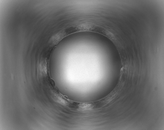 X0000062670334200512211342