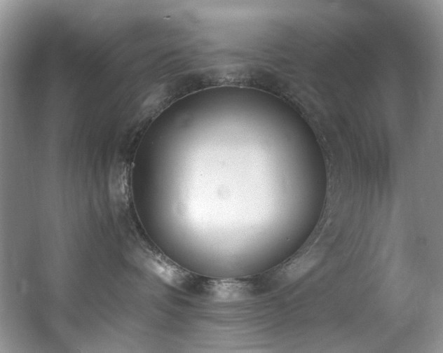 X0000062670336200512211342