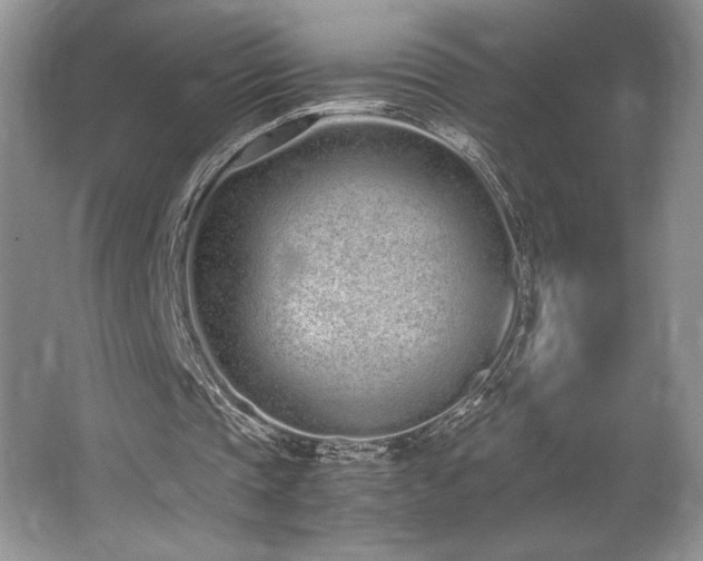 X0000062670337200512211341