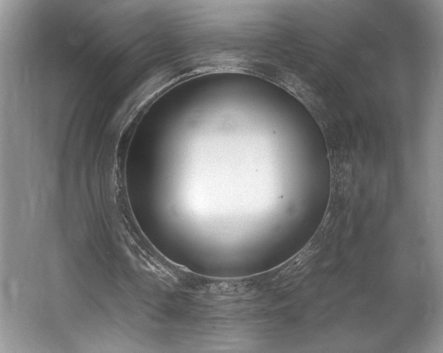 X0000062670338200512211341