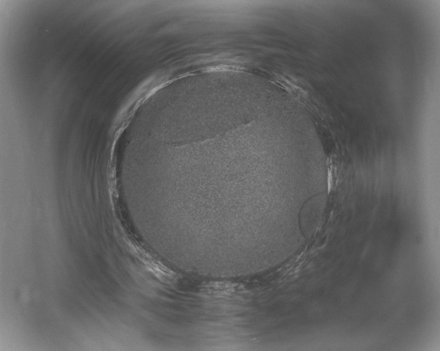 X0000062670339200512211341