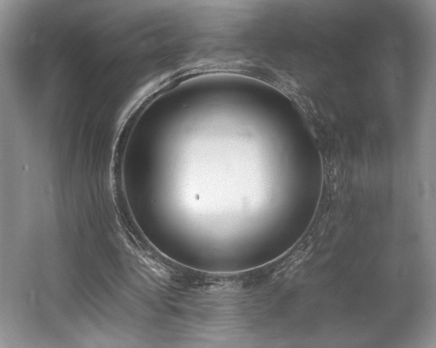 X0000062670340200512211341