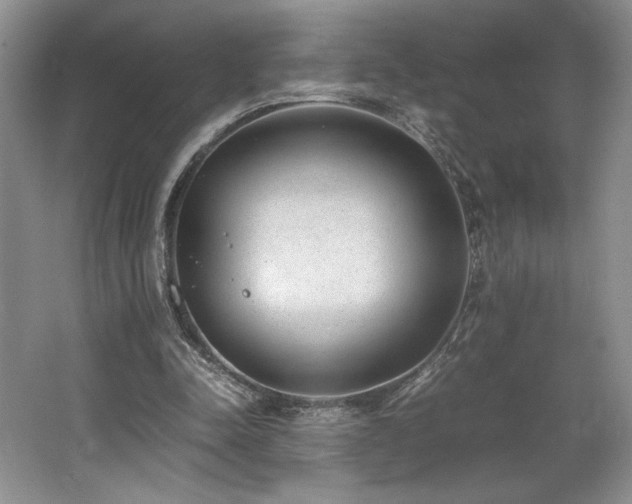 X0000062670342200512211341