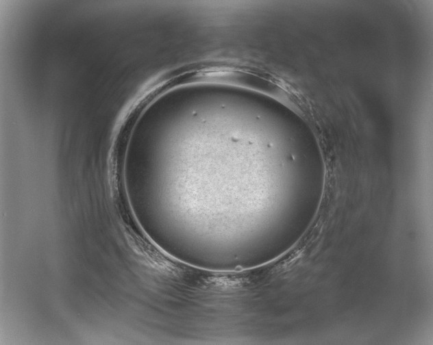 X0000062670343200512211341