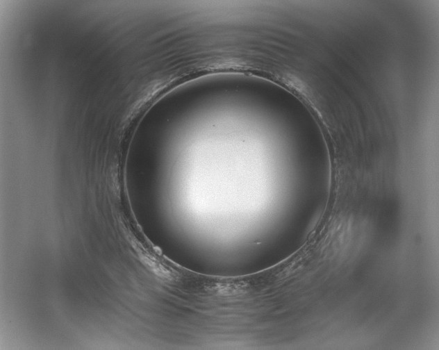 X0000062670345200512211341