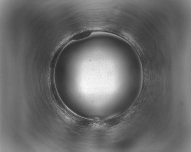 X0000062670346200512211341