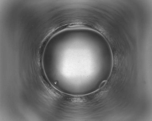 X0000062670347200512211341