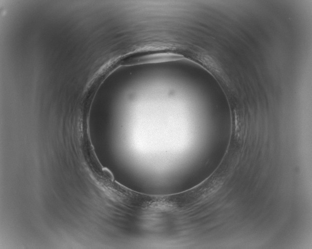 X0000062670348200512211341